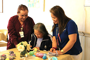 Skilled Nursing Service